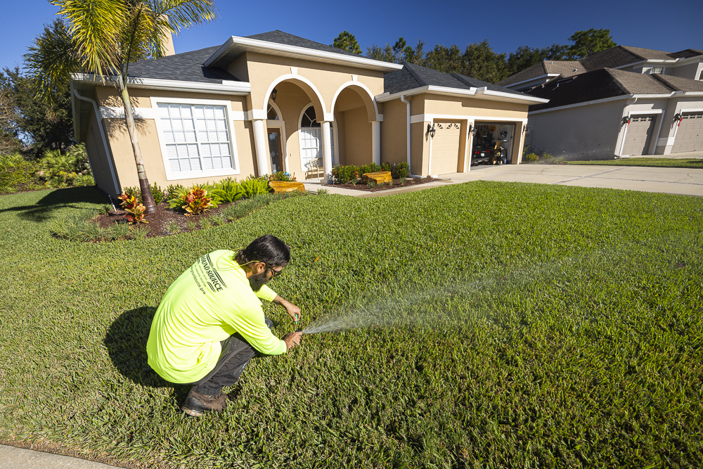 How to Inspect Your Lawn Irrigation System For Problems